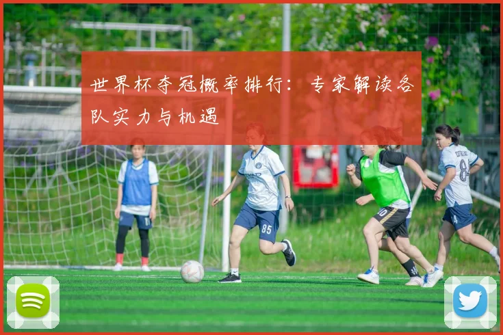 世界杯夺冠概率排行：专家解读各队实力与机遇
