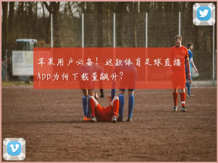苹果用户必备！这款体育足球直播App为何下载量飙升？